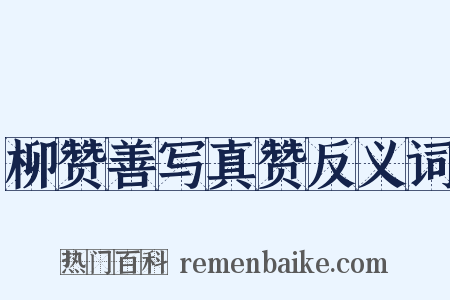 柳赞善写真赞反义词是什么意思的图片